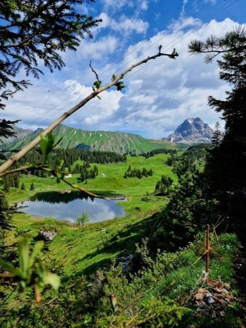 Die Holzgauerin Экстерьер фото